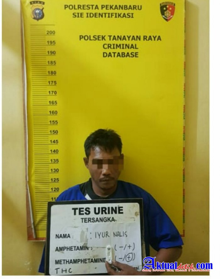 Miliki dan Simpan Sabu di Rumahnya, Pemuda Kulim Diamankan Polisi