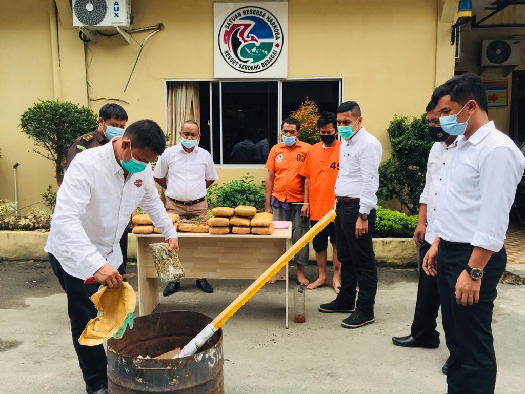 Sat Narkoba Polres Sergai Bakar 12,8 Kg Ganja Kering