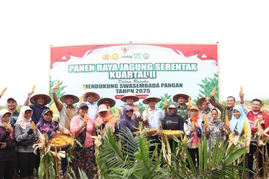 Program Swasembada Pangan 2025, PT Musim Mas Gelar Panen Raya Jagung