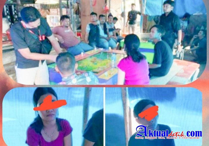 Polda Riau "Sikat" Praktik Perjudian Berkedok Mesin Burung Merak di Kabupaten Siak
