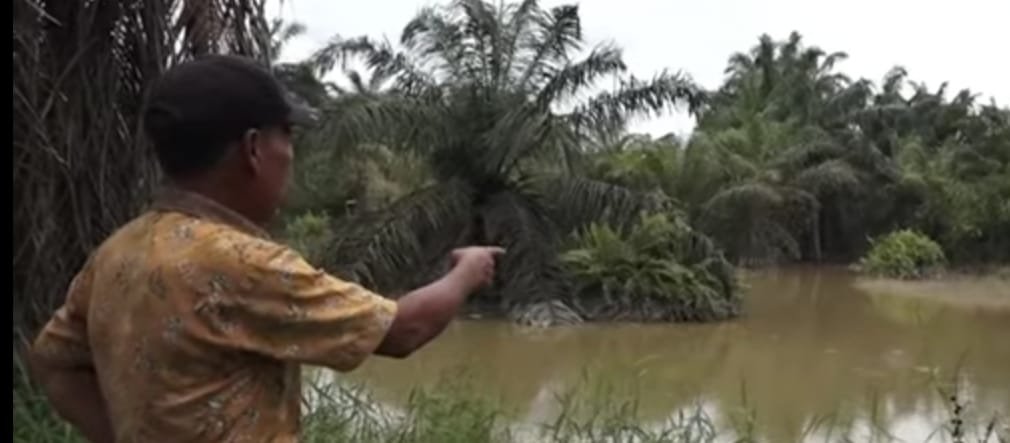 Dugaan Pencemaran, PT RAPP Bungkam dan Terkesan Kebal Hukum!