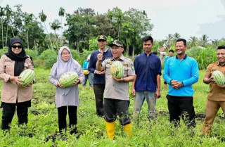 Panen Semangka Petani Milenial, Wabup Ajak Perkuat Sinergi Membangun Pertanian Modern