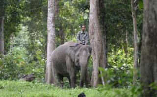 BBKSDA Riau Latih Masyarakat Mitigasi Satwa Gajah Sumatera