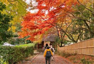 Tempat-tempat Terbaik Untuk Menikmati Musim Gugur di Jepang