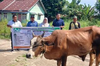 Musim Mas Salurkan Hewan Qurban ke Desa Sekitar Perusahaan