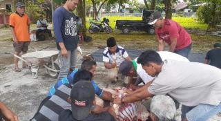 Songo Banyumili Riau Lakukan Pemotongan Hewan Kurban Idul Adha 1443 H.
